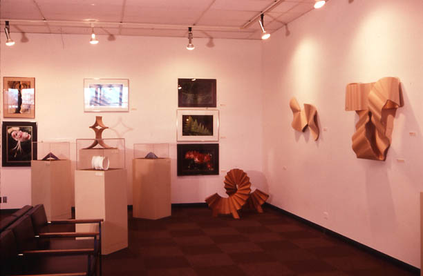 McPherson Gallery, North wall